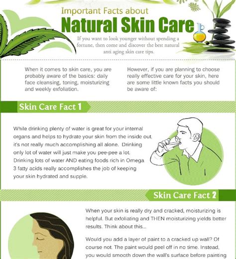 Facts About Natural Skin Care Infographic
