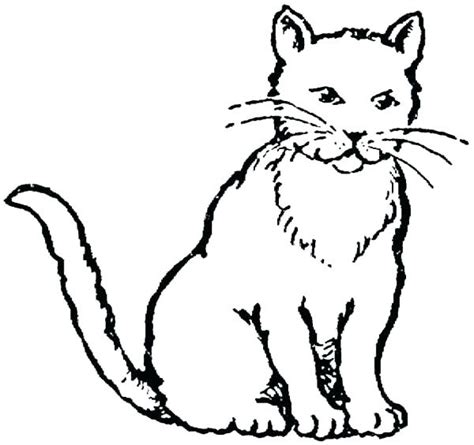 Scary Cat Coloring Pages at GetColorings.com | Free printable colorings