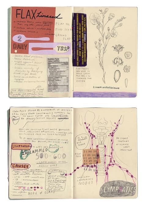 Two Notebooks With Drawings On Them And Some Notes Attached To The