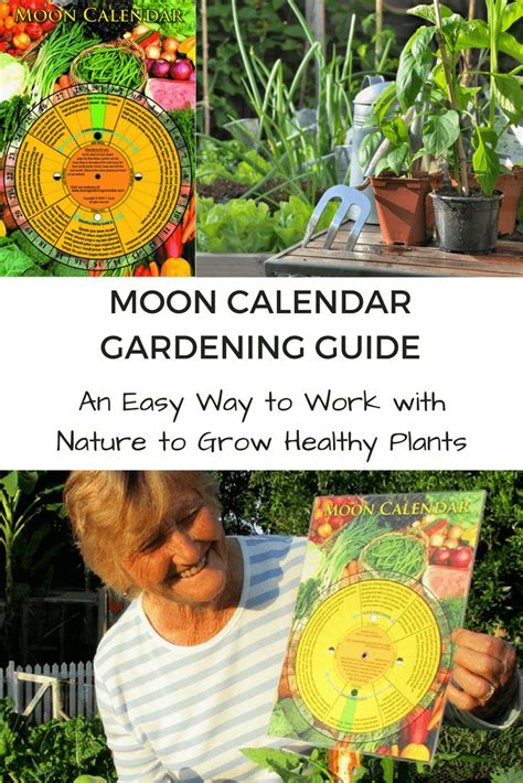 Free Moon Gardening Calendar By Following A Moon Phase Gardening