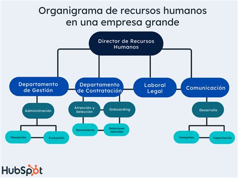 Organigrama de Recursos Humanos cómo estructurar tu departamento de RR HH