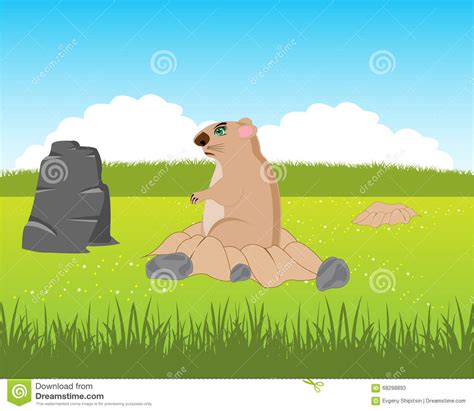 Animal Woodchuck Beside Burrows Stock Vector Illustration Of Ground