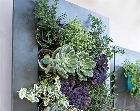 Unlike traditional houseplants that we place on top of a shelf, succulent plants, on the ground, or the windowsill, can be displayed in various unusual ways. Best Succulent Wall Planters (and Inspiration) | Good Succulents