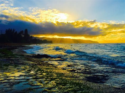 Spiaggia Laniakea Beach A Haleiwa Tour E Visite Guidate Expedia It