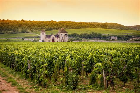 French Vineyards Adventure Van Rental