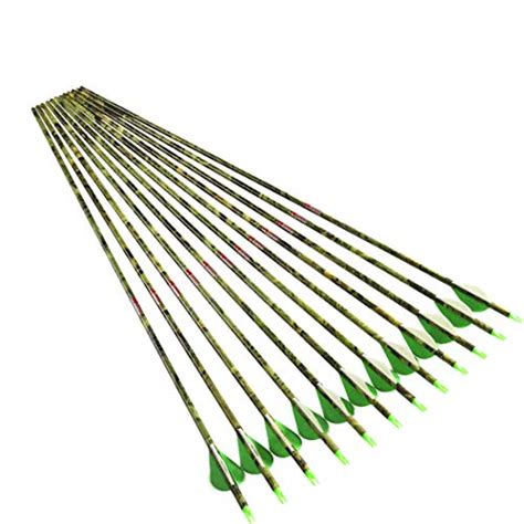Top 10 Best Carbon Arrows For Longbow With Buying Guide Sneakersworld