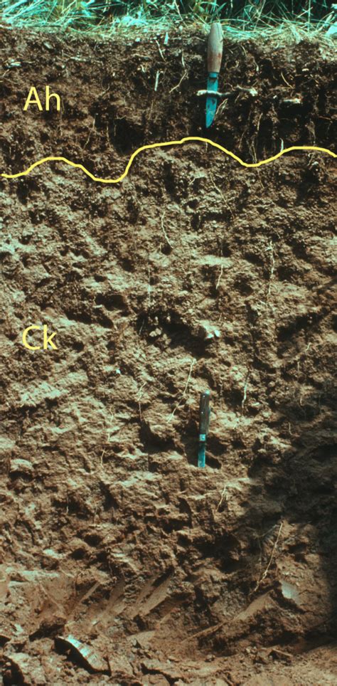 Soil Classification And Distribution Digging Into Canadian Soils