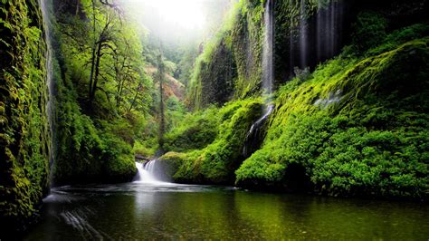 Oregon River Water Waterfalls Nature Forest Woods