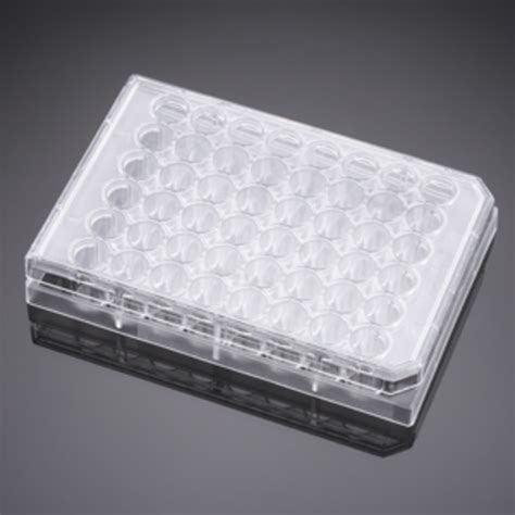 351178 Falcon® 48 Well Clear Flat Bottom Not Treated Multiwell Cell Culture Plate With Lid