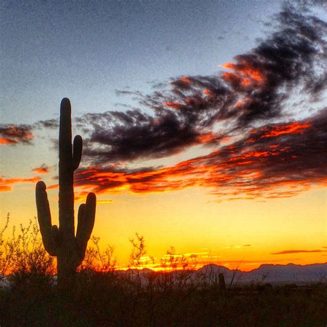Sunset In Tucson Arizona Desert Photography Arizona Travel Scenery