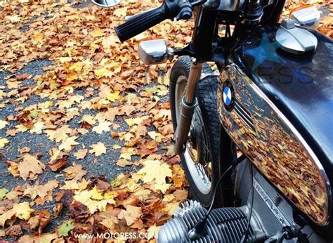 Riding Amidst Autumns Conditions Can Be Challenging However With Good
