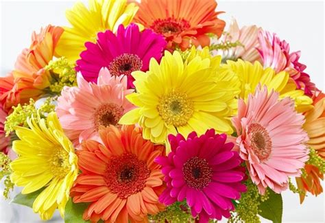 Check spelling or type a new query. The importance or meaning of different types of flowers ...