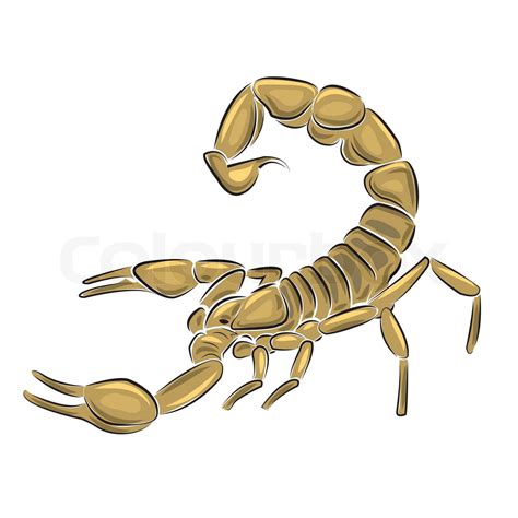 Scorpion Isoliert Auf Weißem Hintergrund Vektor Illustration Stock