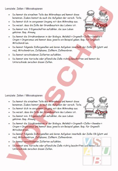 Zelle digitales arbeitsblatt homeschool elearning unterrichtsmaterial im fach biologie ein die zelle grundbaustein aller lebewesen weitere arbeitsmaterialien finden sie hier. Arbeitsblatt: Lernziele Mikroskopieren/Zelle - Biologie ...