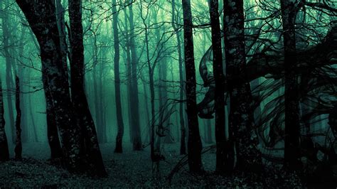 Fog Forest Hd Dark Aesthetic Wallpapers Hd Wallpapers