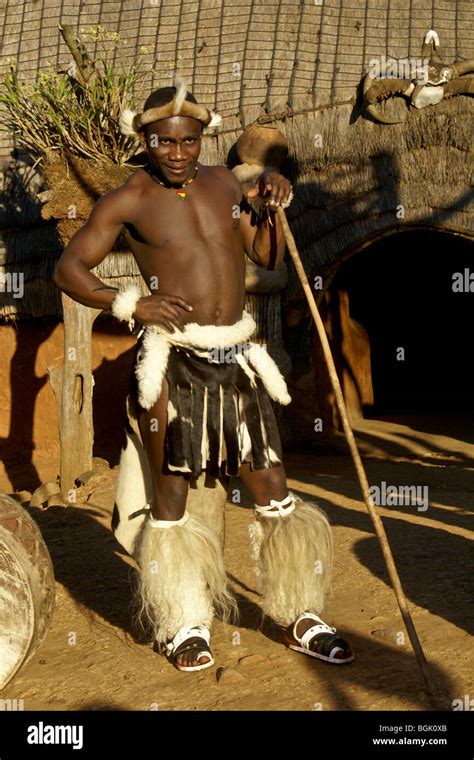 zulu warrior in traditional clothes in shakaland zulu