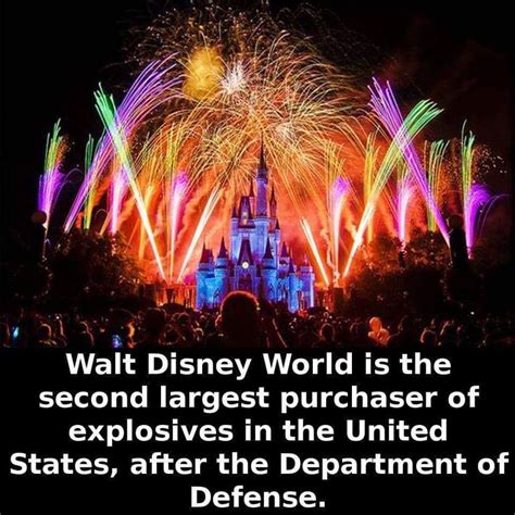 Some More Interesting Facts Fun Facts Disney World Walt Disney World