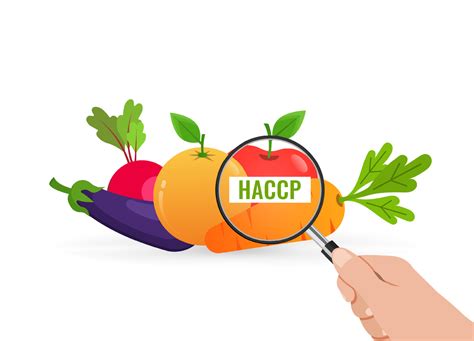 Haccp Food Safety Checking And Inspection Vector Art At Vecteezy