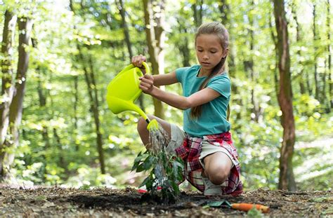How To Teach Children To Take Care Of The Environment Wellwo