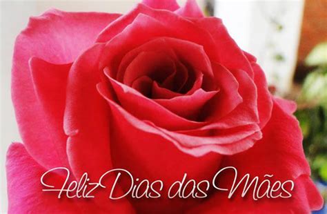 Mamãe, você é minha estrada, meu caminho. Temas Bíblicos: Mensagem para o Dia das Mães