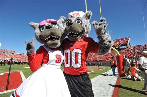 The wolfpack competes at the national collegiate athletic association (ncaa) division i (football bowl subdivision (fbs) for college football) as a member of the atlantic coast conference. Carter-Finley Stadium - North Carolina State Wolfpack | Stadium Journey