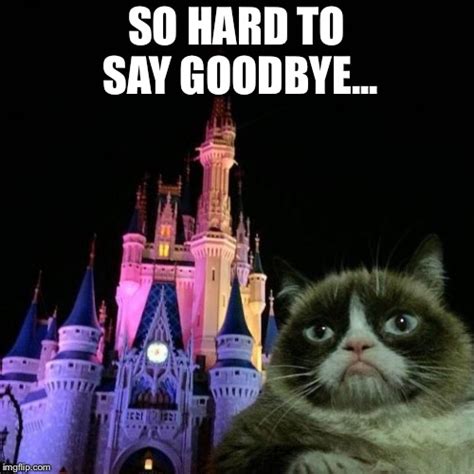 Sad Cat Goodbye Meme