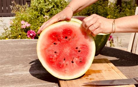 Comment savoir si une pastèque est mûre 10 méthodes inratables pour