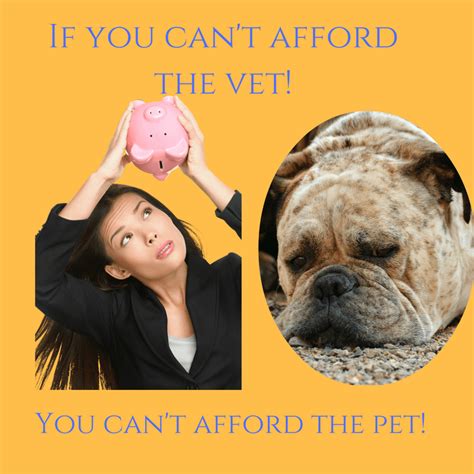 If You Cant Afford The Vet You Cant Afford The Pet The Animal