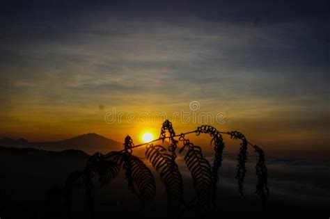 Beautiful Sunrise View In The Morning Of The New Year Stock Photo