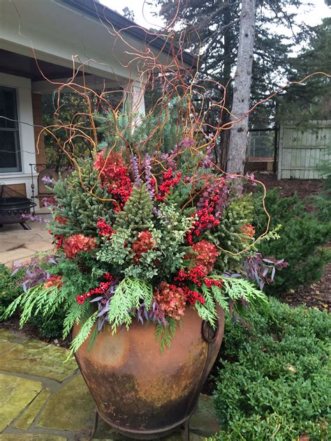 The most famous of all heliconias. Winter pots.. By The Garden Gate. | Flower pots, Winter ...