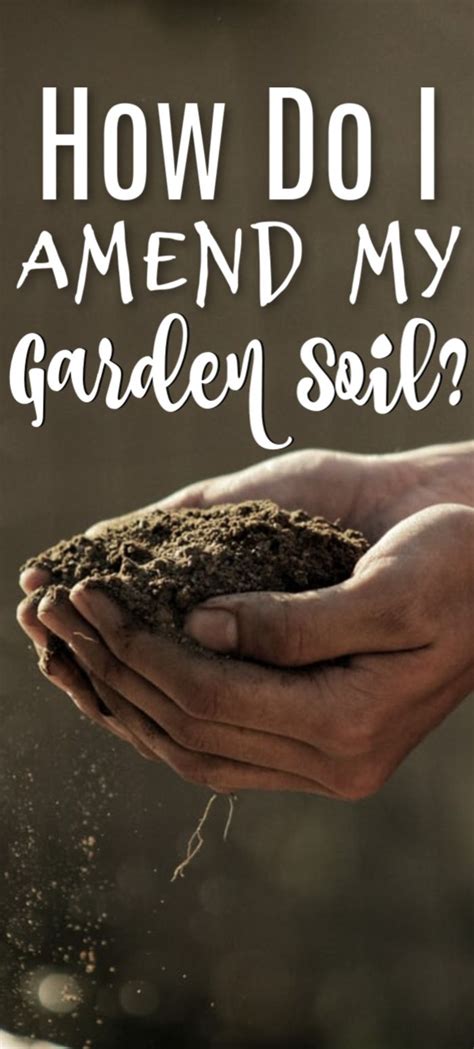 Soil test kits are available at most garden stores as well as your nearest university extension office. What Are Soil Amendments? in 2020 | Garden soil ...