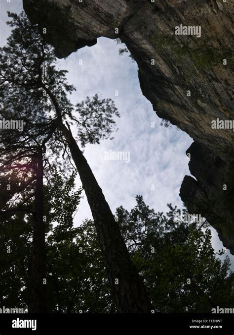 Felsen In Der Böhmischen Schweiz Stock Photo Alamy