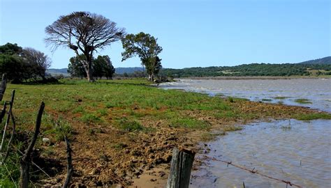 Oct 04, 2021 · el embalse de la axarquía almacena menos de la mitad del agua de la media de los últimos diez años está a un 21,82% de su capacidad lunes, 4 de octubre, 2021 suscríbete 900 199 931 Alcalá de los Gazules, Spain - 'Embalse de Barbate' | Flickr