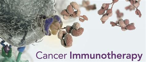 Cancer Immunotherapy United Cancer Support Foundation