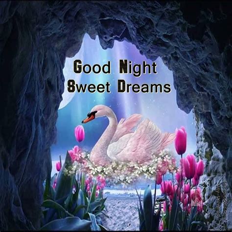 Dove Good Night Sweet Dreams Graphic Good Night Sweet Dreams Good