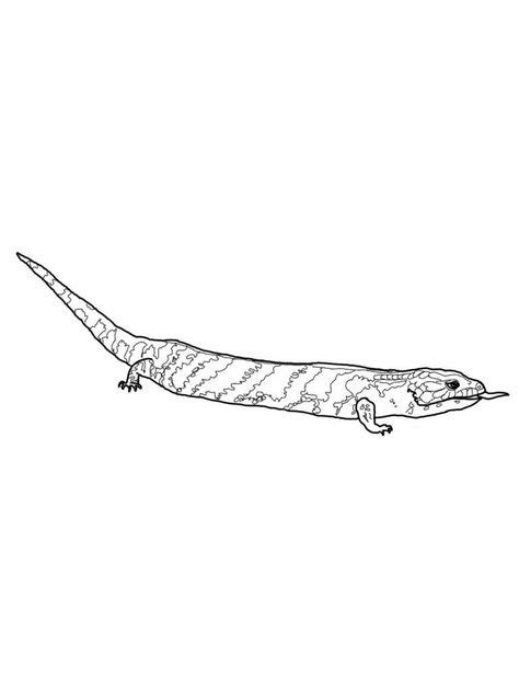 Free Printable Lizard Coloring Pages For Kids | Coloring pages for kids