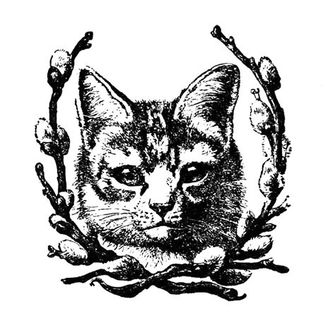 Victorian Cat Illustration Clip Art Library
