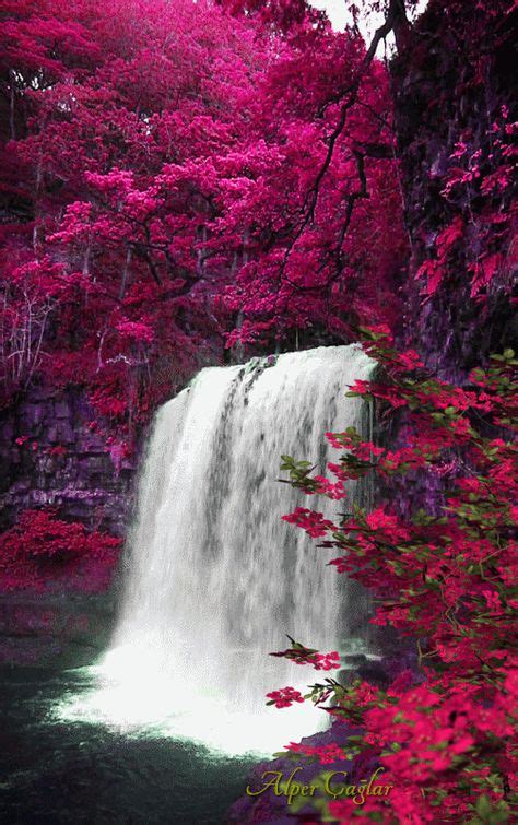61 Waterfalls Ideas In 2021 Waterfall Scenery Beautiful Nature