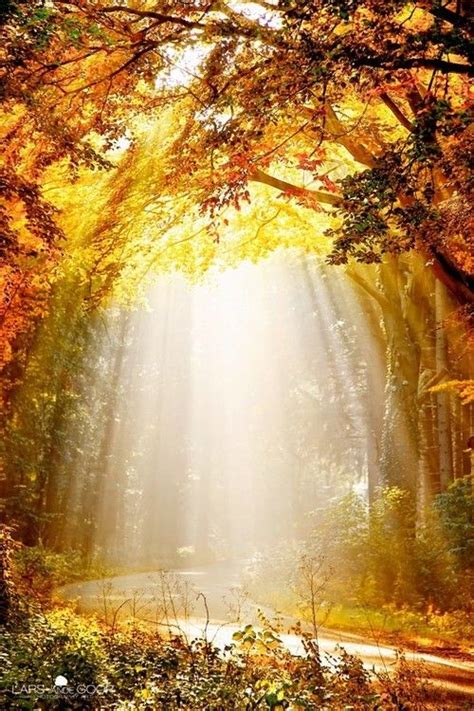 Rays Of Sun Autumn Colors Pinterest