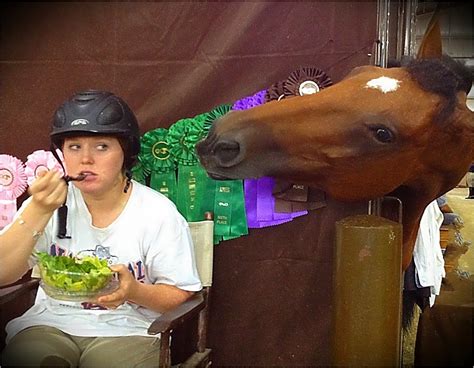 How can i go about invoking a method or methods to run only once right after camel startup is complete? 209/365 Funny | You can't make this stuff up (or stage it ...