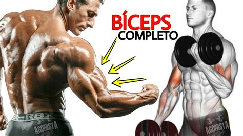 Treino De Biceps