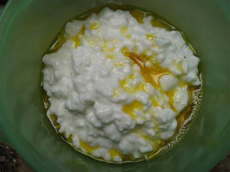 Иоханна будвиг диета