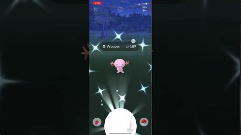 New Shiny Wooper Event In Pokémon Go Shiny Wooper After 18 Checks Youtube