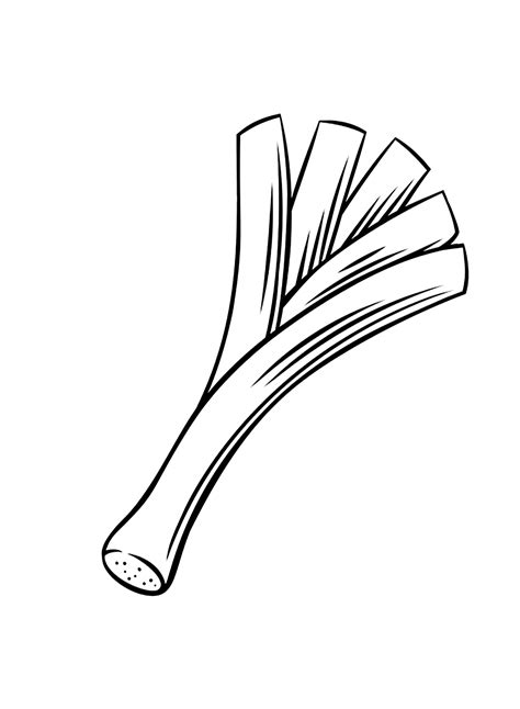 Leek Poireau Prei Lauch Coloriage Kleurplaat Coloring Para Colorear