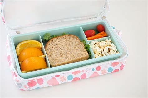 11 Best Lunch Box For Teen Girls For 2024 Storables