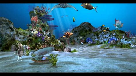 Amazingly Beautiful 3d Aquarium Live Wallpaper Wallpaper