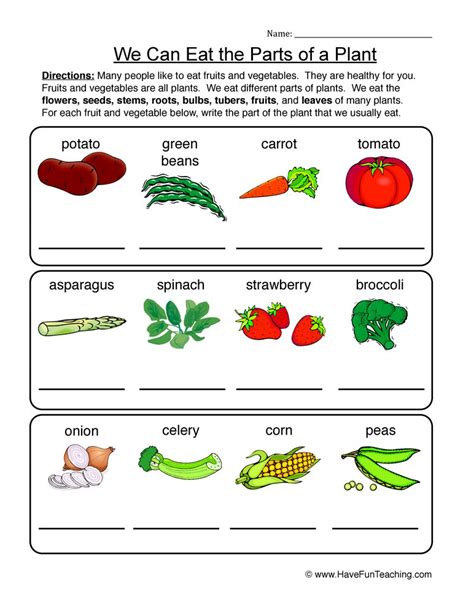 Plants that make seed and don't make seed. Edible Parts of a Plant Worksheet • Have Fun Teaching