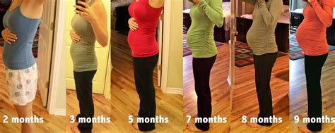 How Does Your Belly Look At Months Pregnant Pregnantbelly