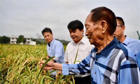 Find the perfect yuan longping stock photos and editorial news pictures from getty images. Yuan Longping, father of hybrid rice - Global Times