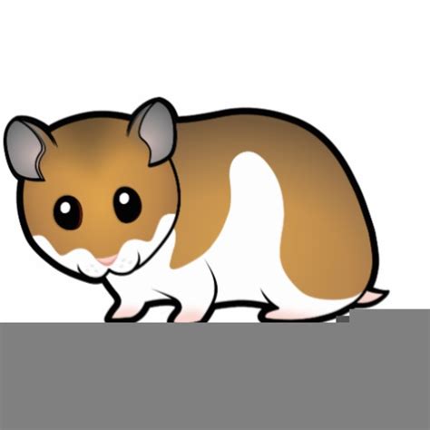 Hamster Clipart Free Free Download On Clipartmag